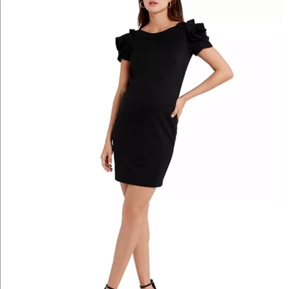 Salisburgo Rose Ruffle Maternity Sheath Dress by PIETRO BRUNELLI size small